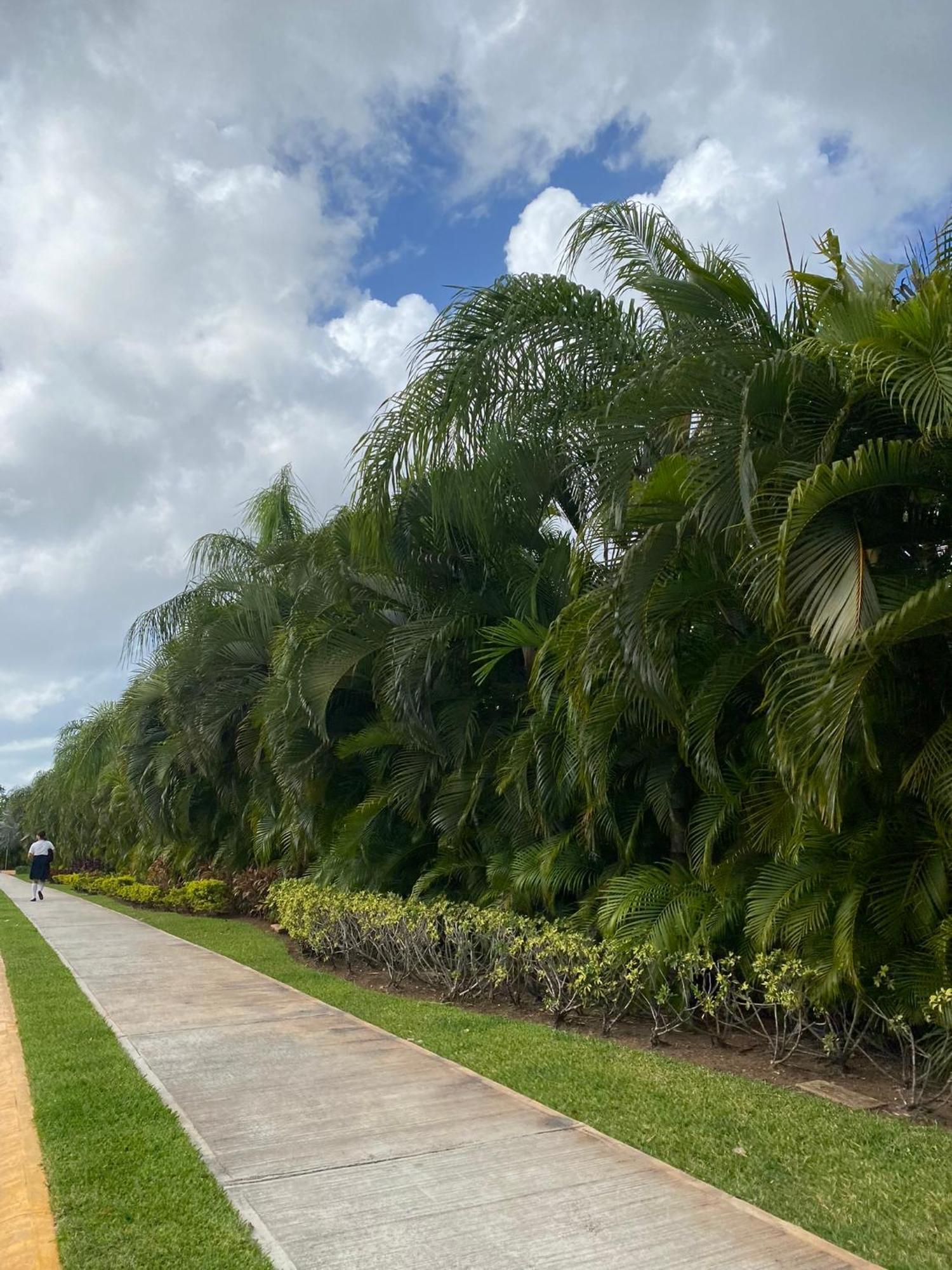 Enjoy Cancún Zewnętrze zdjęcie